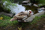 Click to see Y-BETA-DSC_0834.JPG