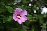 Click to see Y-BETA-DSC_0997.JPG