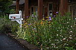 Click to see Y-BETA-DSC_1006.JPG