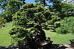 Click to see Y-BETAb-DSC_0337.JPG