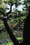 Click to see Y-BETAb-DSC_0351.JPG