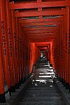 Click to see Y-BETAb-DSC_0893.JPG