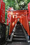 Click to see Y-BETAb-DSC_0903.JPG