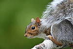Click to see Y-JG-DSC-0331.JPG