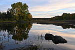 Click to see Y-JG-DSC-0694.JPG