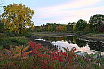 Click to see Y-JG-DSC-0863.JPG