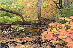 Click to see Y-JG-DSC-0884.JPG