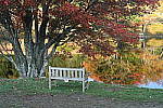 Click to see Y-JG-DSC-0977.JPG