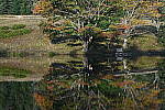 Click to see Y-JG-DSC-0983.JPG