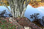 Click to see Y-JG-DSC-0984.JPG