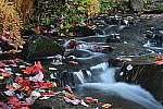 Click to see Y-JG-DSC-1053.JPG