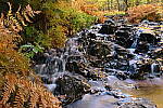 Click to see Y-JG-DSC-1067.JPG