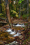 Click to see Y-JG-DSC-1226-MOD.JPG
