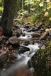 Click to see Y-JG-DSC-1227.JPG