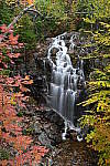 Click to see Y-JG-DSC-1263.JPG