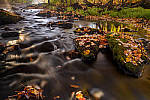 Click to see Y-JG-DSC-1372-MOD.JPG