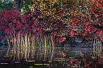 Click to see Y-JG-DSC-1452-MOD.JPG