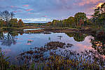Click to see Y-JG-DSC-1608-MOD.JPG