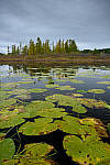 Click to see Y-JG-DSC-1640-MOD.JPG