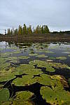 Click to see Y-JG-DSC-1640.JPG