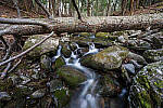 Click to see Y-JG-NIKON-14-30-4583-MOD.JPG