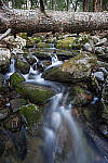 Click to see Y-JG-NIKON-14-30-4593-MOD.JPG