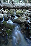 Click to see Y-JG-NIKON-14-30-4593.JPG