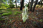 Click to see Y-JG-NIKON-14-30-4818.JPG