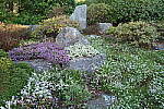 Click to see Y-JG-NIKON-14-30-4825.JPG