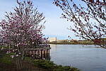 Click to see Y-JG-NIKON-14-30-4845.JPG