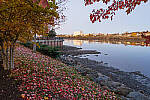 Click to see Y-JG-Z7-NIKON-14-24-0164-MOD.JPG