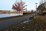 Click to see Y-JG-Z7-NIKON-14-24-0168.JPG
