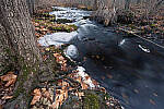 Click to see Y-JG-Z7-NIKON-14-24-0322-MOD.JPG