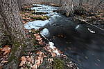 Click to see Y-JG-Z7-NIKON-14-24-0322.JPG