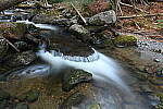 Click to see Y-JG-Z7-NIKON-14-24-0397.JPG