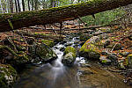 Click to see Y-JG-Z7-NIKON-14-24-0400-MOD.JPG