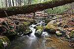 Click to see Y-JG-Z7-NIKON-14-24-0400.JPG