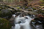 Click to see Y-JG-Z7-NIKON-14-24-0407.JPG