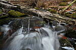 Click to see Y-JG-Z7-NIKON-14-24-0411.JPG