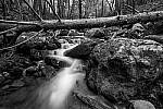 Click to see Y-JG-Z7-NIKON-14-24-0420-MOD.JPG