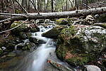 Click to see Y-JG-Z7-NIKON-14-24-0420.JPG