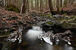 Click to see Y-JG-Z7-NIKON-14-24-0473.JPG