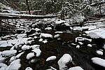 Click to see Y-JG-Z7-NIKON-14-24-0485.JPG