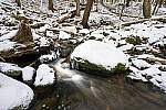 Click to see Y-JG-Z7-NIKON-14-24-0511-MOD.JPG