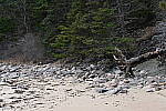 Click to see Y-JG-Z7-NIKON-70-200-0611.JPG