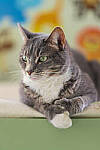 Click to see Y-JG-Z7-SIGMA-105MM-1898-MOD.JPG