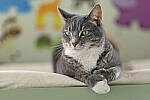 Click to see Y-JG-Z7-SIGMA-105MM-1919.JPG
