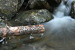 Click to see Y-JG-Z7-SIGMA-105MM-1996.JPG