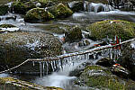 Click to see Y-JG-Z7-SIGMA-105MM-2004-MOD.JPG