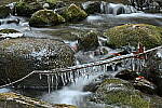 Click to see Y-JG-Z7-SIGMA-105MM-2004.JPG